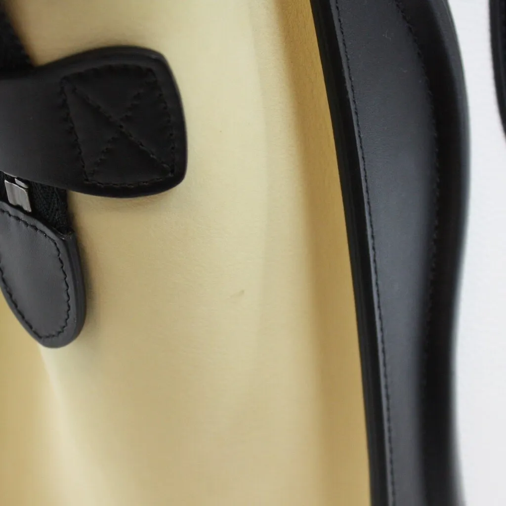 Celine Luggage Micro