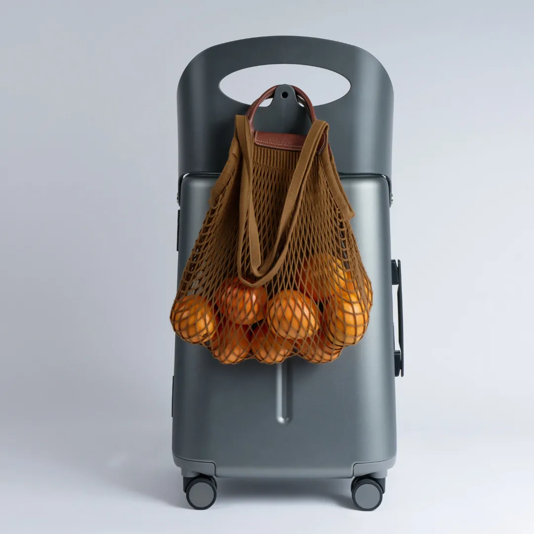 MiaMily Carry On Luggage